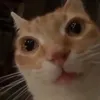 axi._05