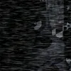 alexaj5258