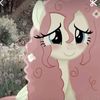user9323239380208