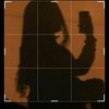 salma24459