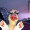 iniicaaww1