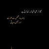 sehkhn2
