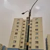 rozha318