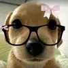 felixia509