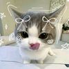qiss_you0