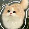 n.k.bit.nhay_03