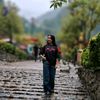 tarane.kazemi