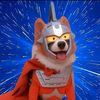 Ammy