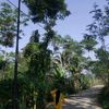 ziaandarga