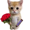 xhuy034
