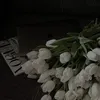 hanaenice_01