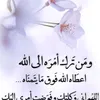 am.abdala13