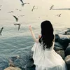 rr.lllo1