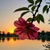 jannat.akhter1094