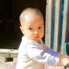 sahed_ahmed53