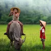 dinhnguyen.cuocso