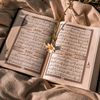 nabi_ka_ishq391