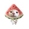 c_cocomelon0