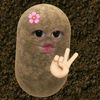 nabill.nabilaa3