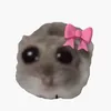melo_7538