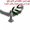 user8212520044819