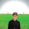 user6543019614125
