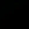 aliyeva_.313._