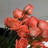 user74270092216980