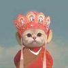 anthonyguo3