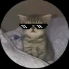 cacheado_oficial1