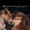 .lioness.94