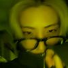 vibengine._1009