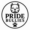 pridebullies_