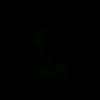 xoom_81