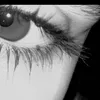 the.lek9o