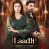 zidi.larki8055