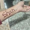 shan65311