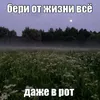 sherlkviffq