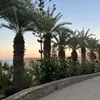 lulu_11.com