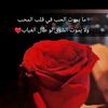 user37159084384887