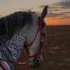 sama.az02