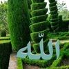 sofyaseid04