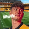 wwfcwolves3