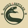 reeces.reptiles
