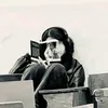 bom_285