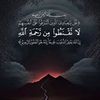 amr.ashraf0053