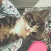 imsoizzvt8d
