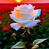 user868816192680