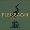 Fleisbach_brewery
