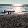 jerx_mx